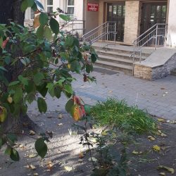 Wejście do przedszkola